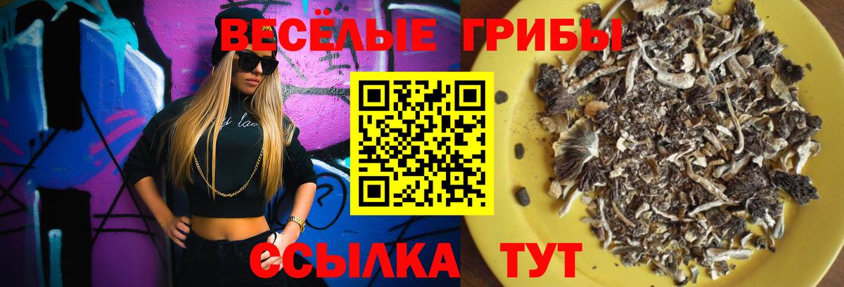 Псилоцибиновые грибы мицелий  Вход с VPN  Рыбинск 